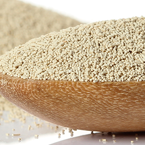 Ingredient, Yeast & Additives