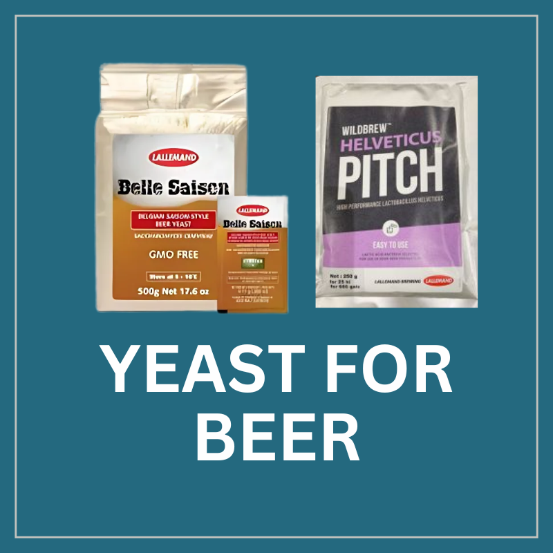 Yeast for Beer