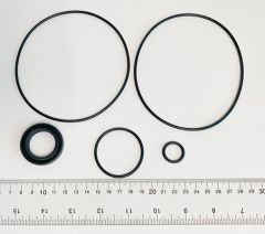 Pump seal kit CRV-40/50S