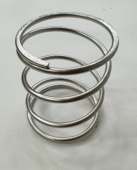 Replacement Spring For Streamline Strainer #2020