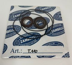 Replacement Seals for Zambelli T-110 Flexible Impeller Pump