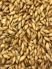 Briess American Honey Whole Kernel Malt