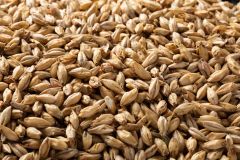 Briess Pale Ale Whole Kernel Malt