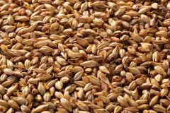 Briess Caramel 20 L Crystal Malt Whole Kernel 