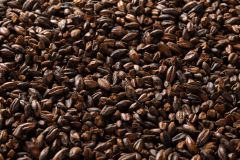 Briess Chocolate Whole Kernel Malt