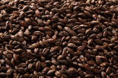 Briess Roasted Barley Whole Kernel Malt