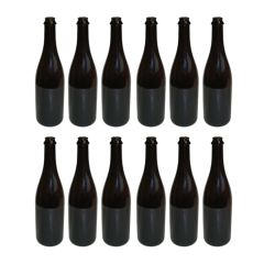 Celebration Champagne style bottle 750 ml.