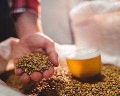 Durst Whole Kernel Malt