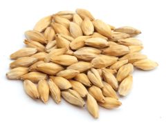 Durst Munich 20 EBC Whole Kernel Malt 