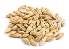 Durst Munich 40 EBC Whole Kernel Malt