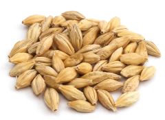 Durst Pilsner Whole Kernel Malt