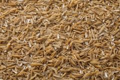 Briess Rice Hulls