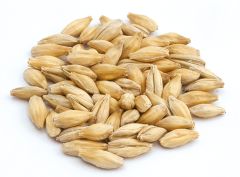 Durst Vienna Whole Kernel Malt